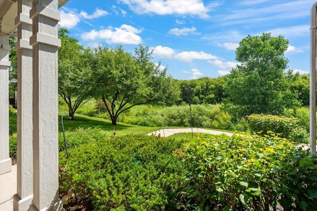 2201 Concord Dr Unit 2201, Mchenry, IL 60050 - view of yard