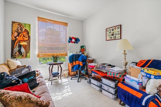 2201 Concord Dr Unit 2201, Mchenry, IL 60050 - sitting room with carpet