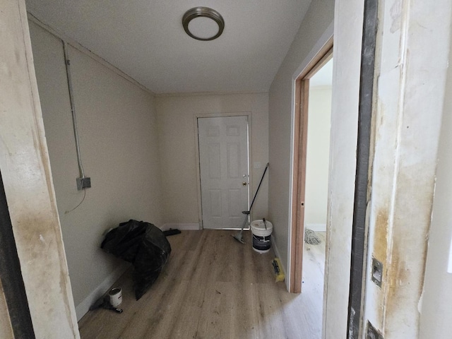 426 N Trumbull Ave, Chicago, IL 60624 - interior space with light wood-style floors and baseboards