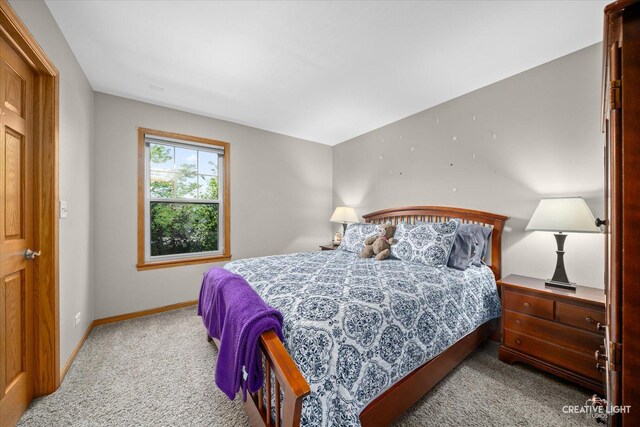 426 Fayette Dr, Oswego, IL 60543 - photo 17