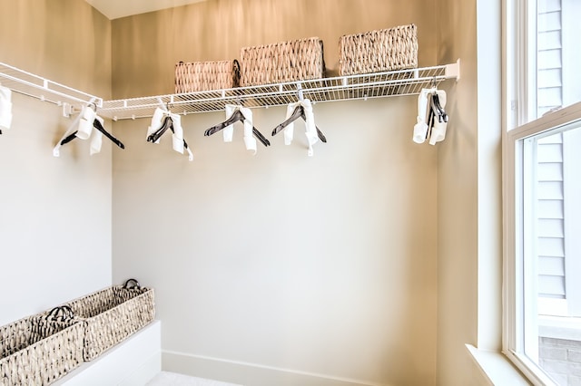 1552 Times Dr, Des Plaines, IL 60018 - view of walk in closet