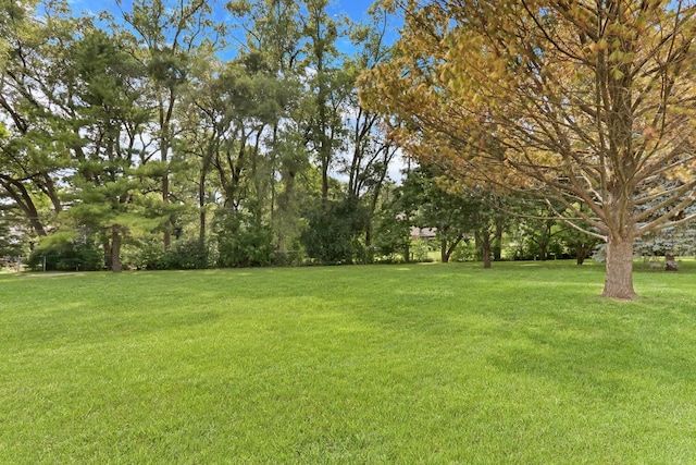 31340 N Liberty Rd, Grayslake, IL 60030 - view of grassy yard