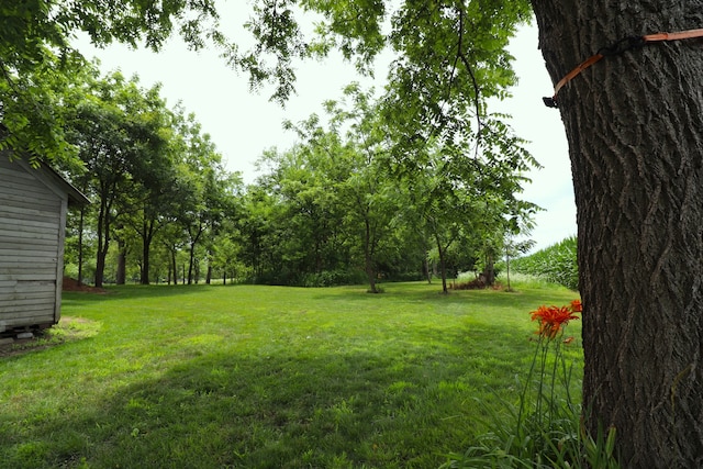 11386 W Haldane Rd, Polo, IL 61064 - photo 16