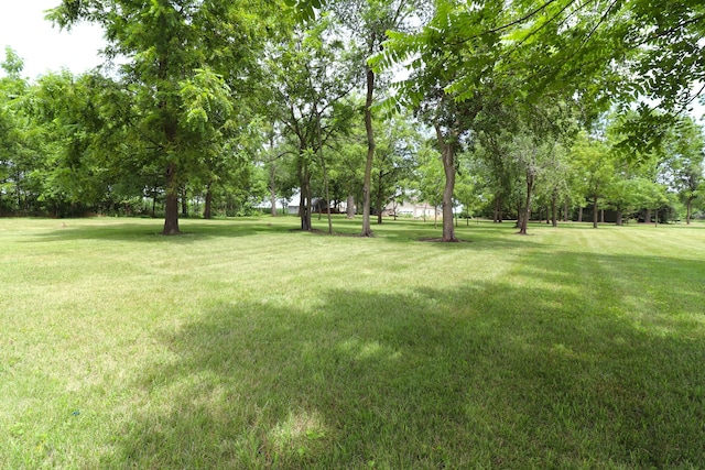 11386 W Haldane Rd, Polo, IL 61064 - photo 18