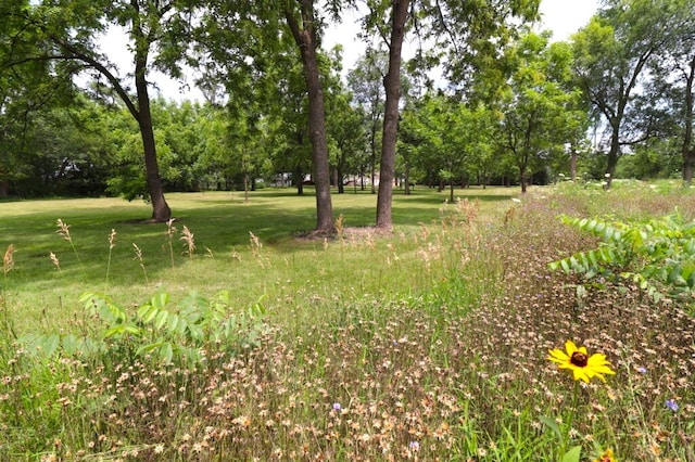 11386 W Haldane Rd, Polo, IL 61064 - photo 19