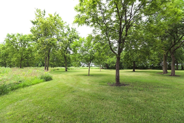 11386 W Haldane Rd, Polo, IL 61064 - photo 20