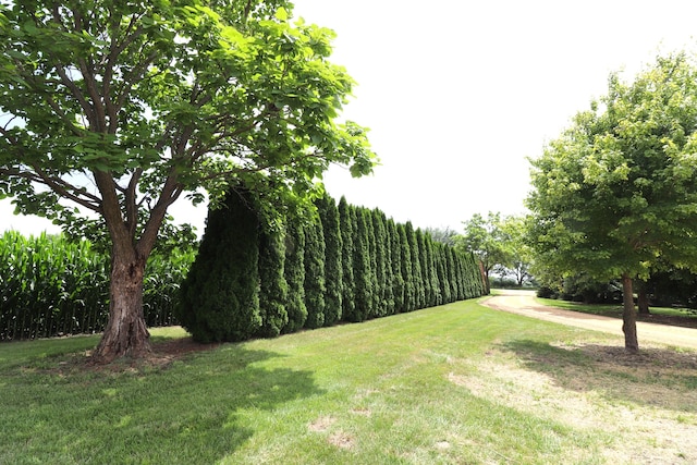 11386 W Haldane Rd, Polo, IL 61064 - photo 9