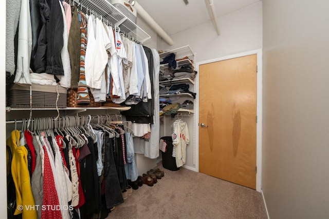 700 W Van Buren St Unit 803, Chicago, IL 60607 - spacious closet featuring carpet