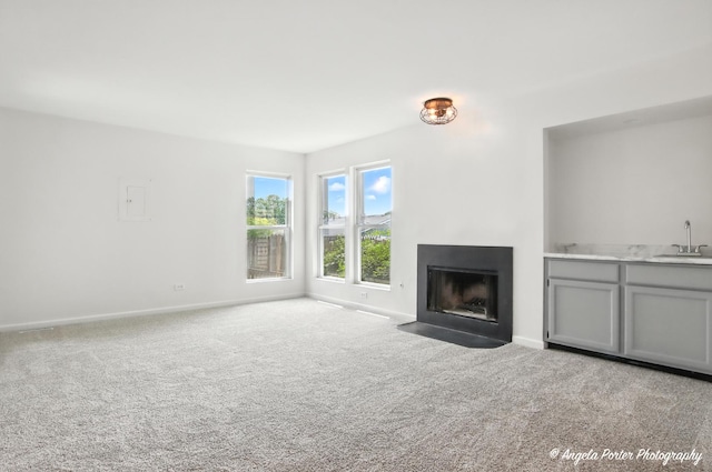 725 Hill Ave, Elgin, IL 60120 - photo 6
