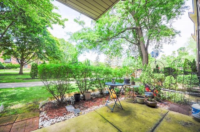 1206 S New Wilke Rd Unit 108, Arlington Heights, IL 60005 - view of patio / terrace
