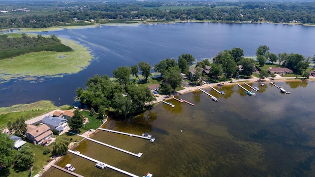 22869 W Lake Shore Dr, Antioch, IL 60002 - aerial view of property and surrounding area featuring a large body of water
