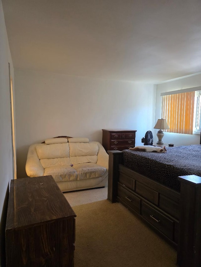 264 Bay St, Wood Dale, IL 60191 - bedroom with carpet floors
