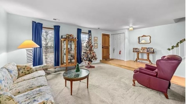 848 Birchbark Trl, Carol Stream, IL 60188 - view of carpeted living area