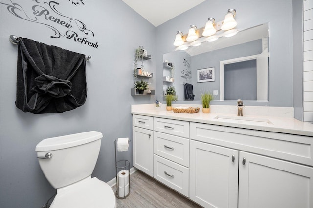 1033 W Indiana St, Glenwood, IL 60425 - bathroom with vanity and wood finished floors