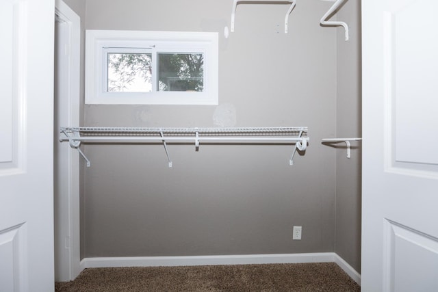 1304 Bell St, Bloomington, IL 61701 - photo 21