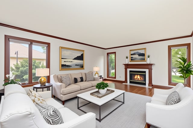 21978 Princeton Cir, Frankfort, IL 60423 - living room featuring wood finished floors, a fireplace with flush hearth, healthy amount of natural light, and ornamental molding