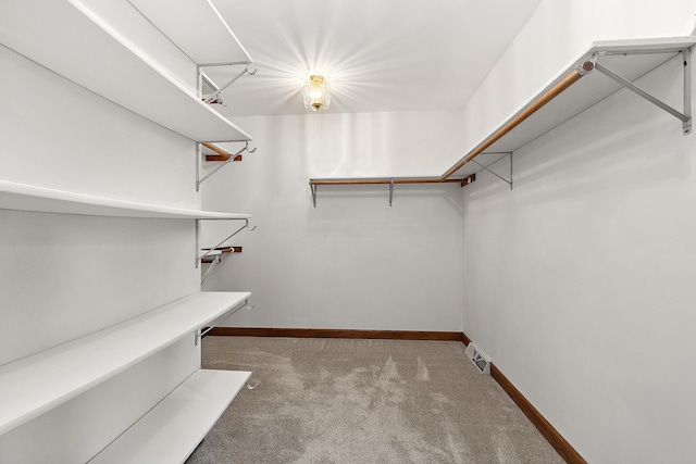 21978 Princeton Cir, Frankfort, IL 60423 - walk in closet with carpet floors