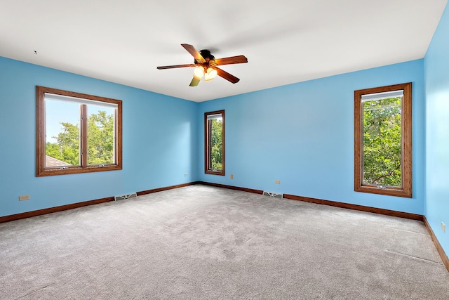 21978 Princeton Cir, Frankfort, IL 60423 - carpeted empty room featuring plenty of natural light and ceiling fan
