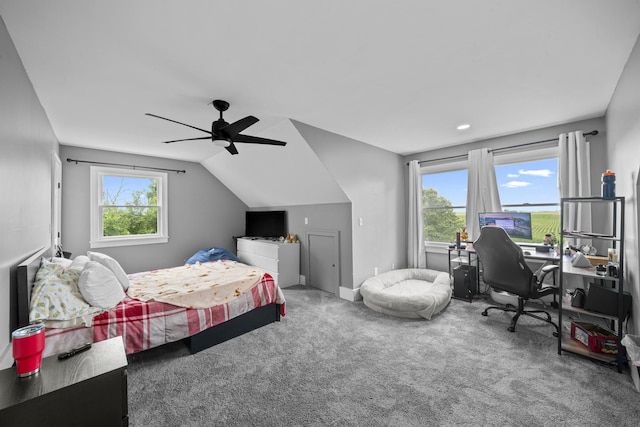 3705 Elva Rd, Malta, IL 60150 - photo 33
