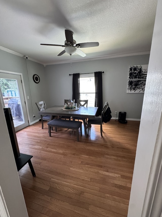 803 Ave C, Sterling, IL 61081 - photo 11