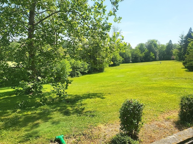 505 Redondo Dr Unit 108, Downers Grove, IL 60515 - view of green lawn
