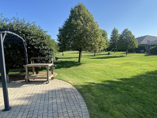 831 Oriole Dr, Peotone, IL 60468 - view of green lawn