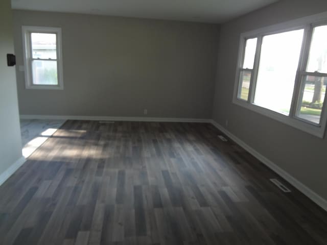 210 Caddy Ave, Carpentersville, IL 60110 - empty room with healthy amount of natural light and dark wood-type flooring