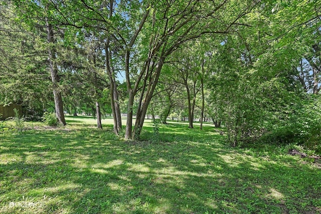 1218 N Randall Rd, Aurora, IL 60506 - photo 23