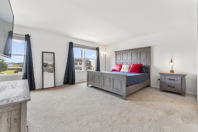 542 Hemmingsen St, Plano, IL 60545 - photo 18