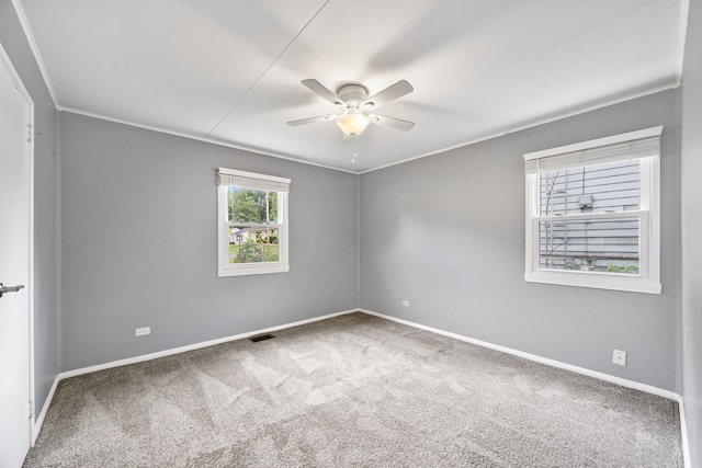 1120 N State St, Bloomington, IL 61701 - photo 11