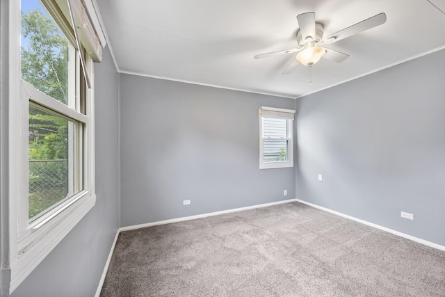 1120 N State St, Bloomington, IL 61701 - photo 12