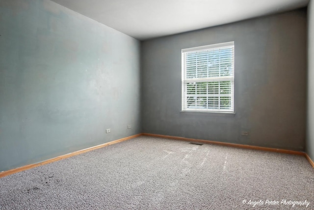1585 Greenfield Ct, Gurnee, IL 60031 - photo 23