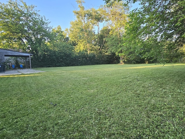 14931 Riverside Dr, South Holland, IL 60473 - view of green lawn with a patio area