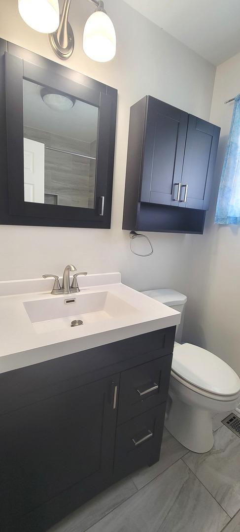 9236 Stanford Dr S, Bridgeview, IL 60455 - bathroom with vanity and toilet