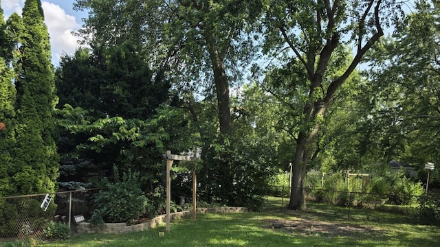 302 Dee Rd, North Aurora, IL 60542 - view of yard