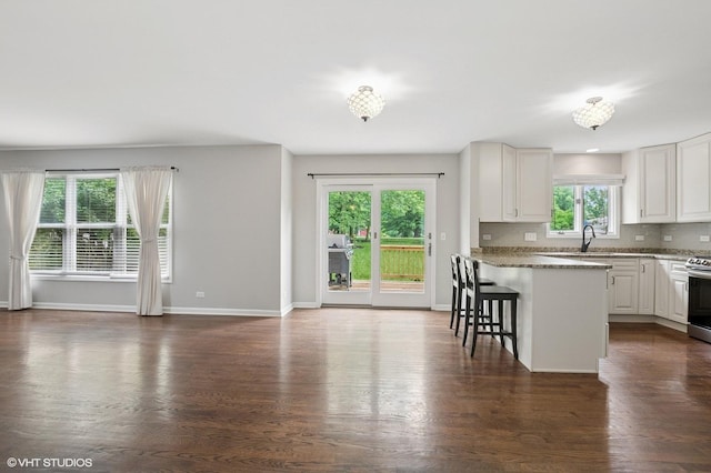 1007 Deshannon Ct, Batavia, IL 60510 - photo 12