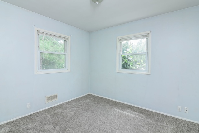 950 Pennsylvania Ave, Aurora, IL 60506 - carpeted spare room featuring healthy amount of natural light