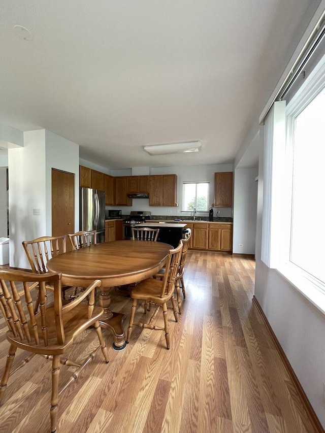 749 S Vintage Ln, Round Lake, IL 60073 - photo 15