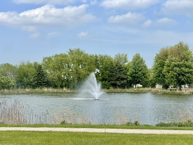 749 S Vintage Ln, Round Lake, IL 60073 - photo 36