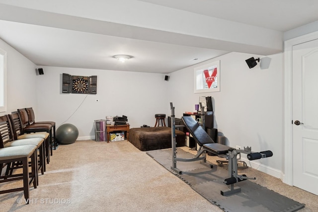 12840 Shenandoah Trl, Plainfield, IL 60585 - exercise room featuring light colored carpet
