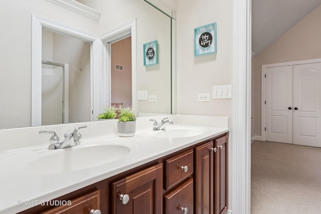 12840 Shenandoah Trl, Plainfield, IL 60585 - full bathroom featuring double vanity and lofted ceiling
