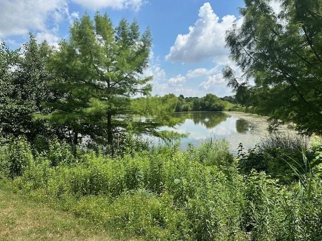12840 Shenandoah Trl, Plainfield, IL 60585 - water view featuring a forest