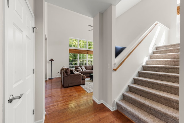 26500 Rustling Birch Way, Plainfield, IL 60585 - photo 6