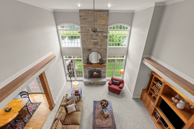 3316 Tall Grass Dr, Naperville, IL 60564 - photo 19
