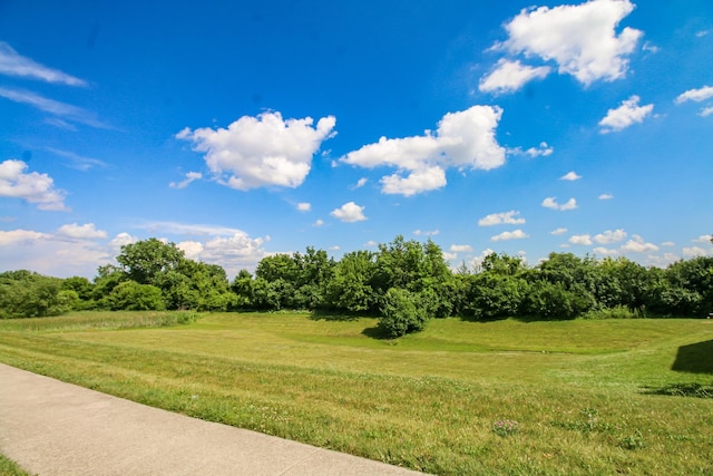 1429 Berta Dr Unit 2W, Crest Hill, IL 60403 - photo 22