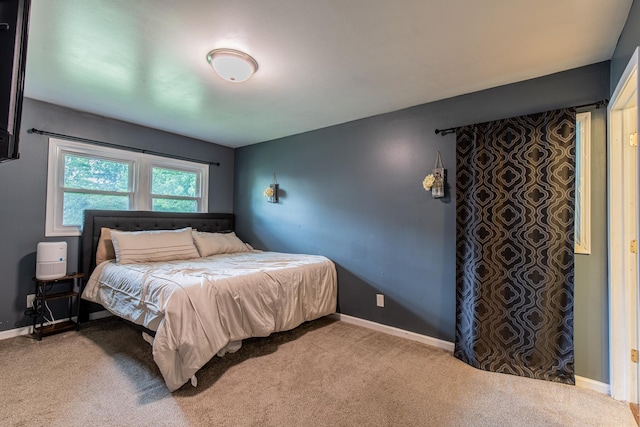 1009 S Park Ave, Mendota, IL 61342 - photo 21