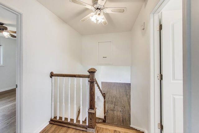 8915 N Odell Ave, Morton Grove, IL 60053 - photo 13