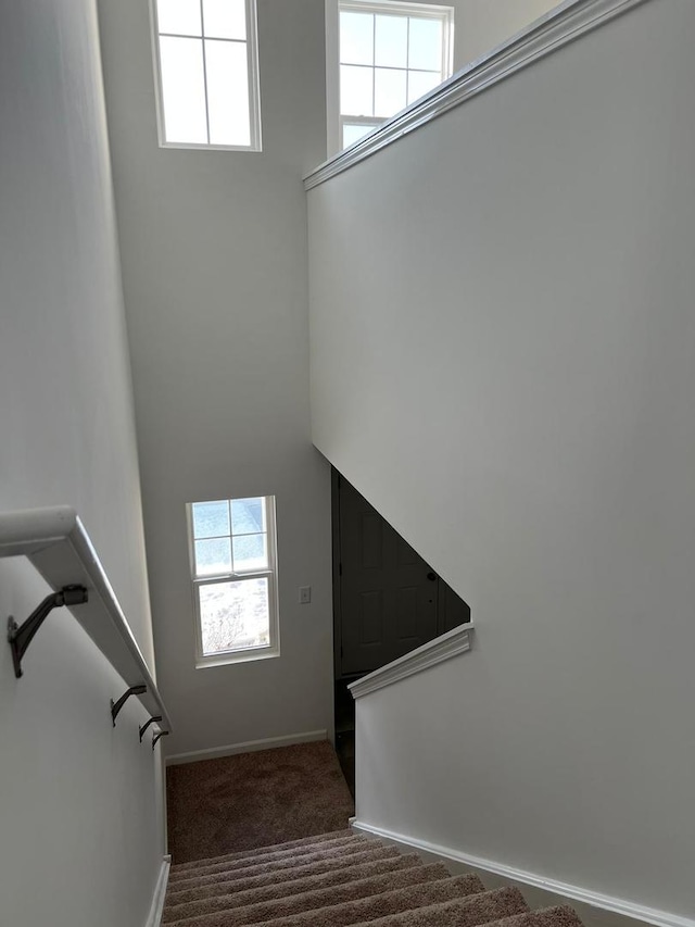 4219 Chelsea Manor Cir, Aurora, IL 60504 - stairs with carpet flooring, plenty of natural light, and a high ceiling