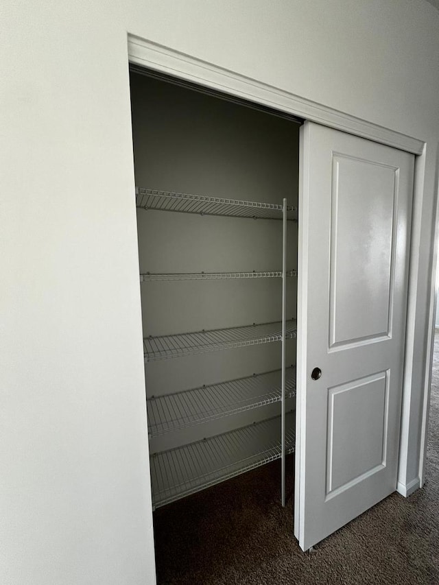 4219 Chelsea Manor Cir, Aurora, IL 60504 - view of closet