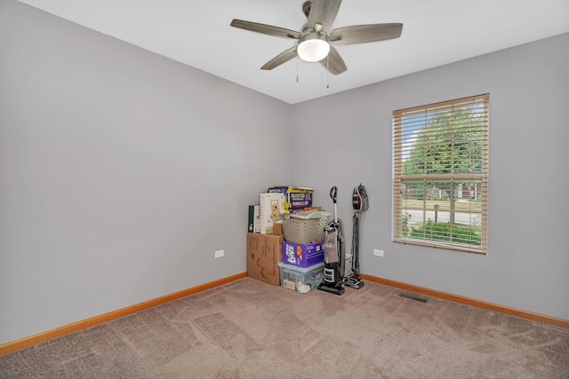 325 Enrietta Dr, Coal City, IL 60416 - photo 19